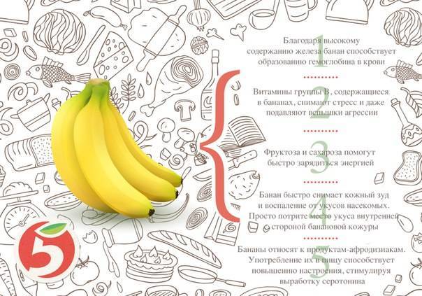 Банан – это фрукт или ягода, особенности растения, родина