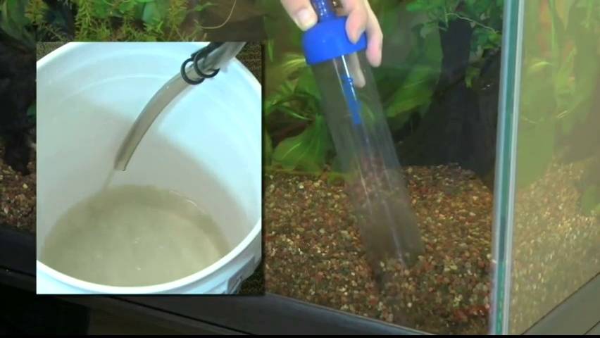 Откачка воды из аквариума