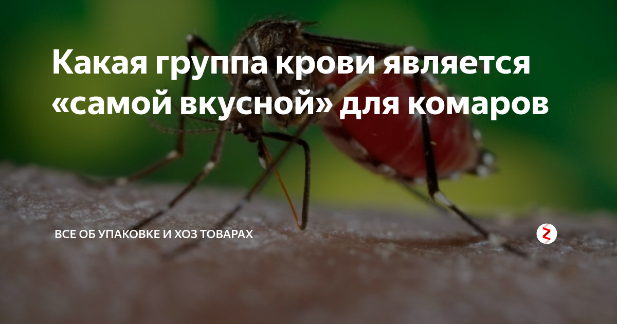 Какая группа крови вкуснее для комаров?