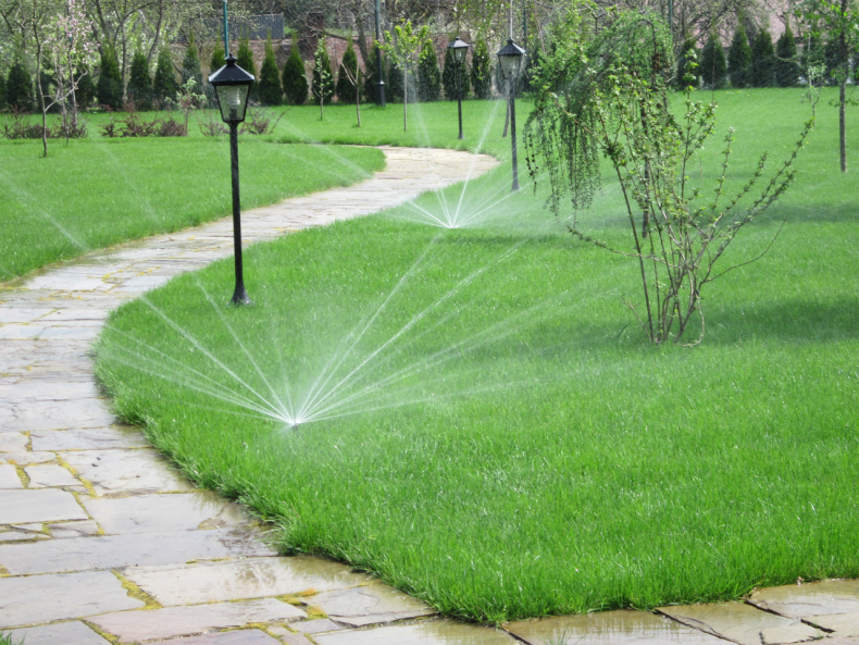Частота орошения газона — когда и как поливать