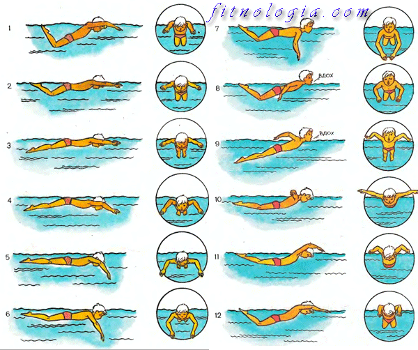 Как плавать стилем баттерфляй: 8 шагов