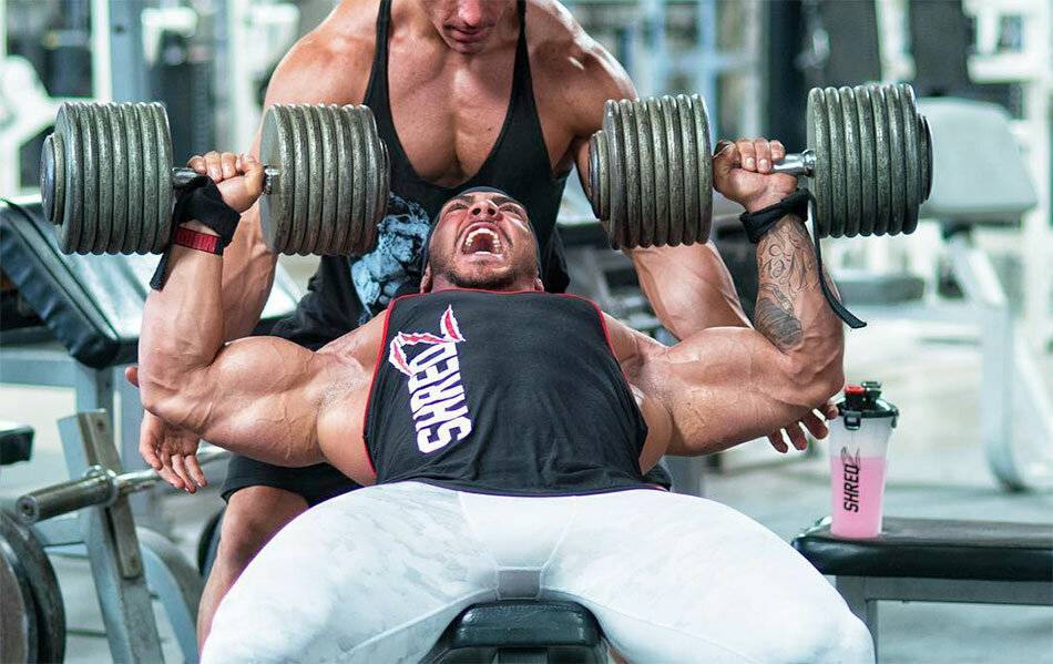 Bench Press Schwarzenegger