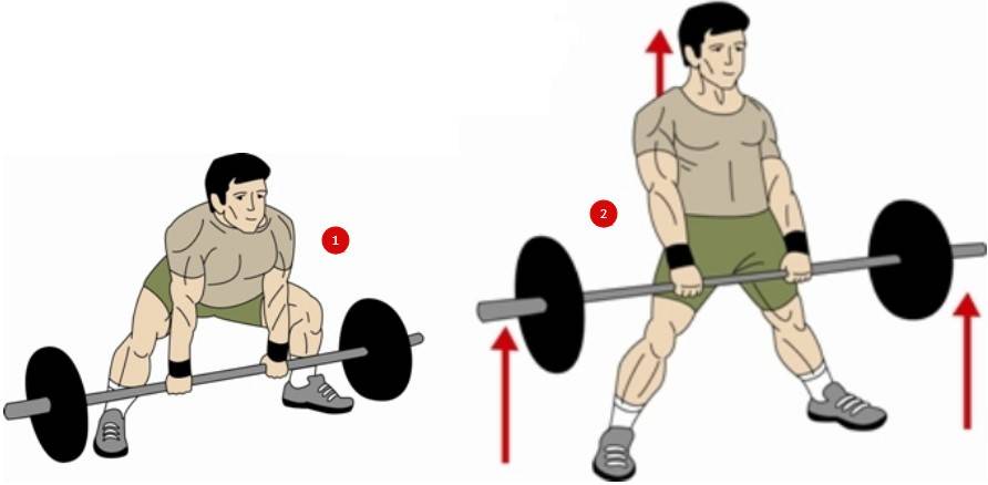 Как делать становую тягу сумо: полный обзор упражнения | rulebody.ru — правила тела