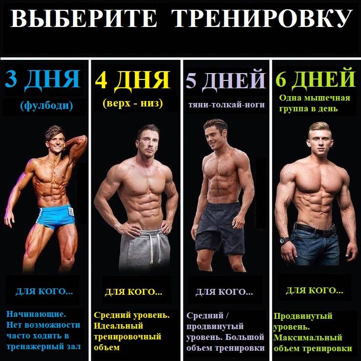 Тренировка для набора мышечной массы для мужчин: базовый комплекс упражнений - tony.ru