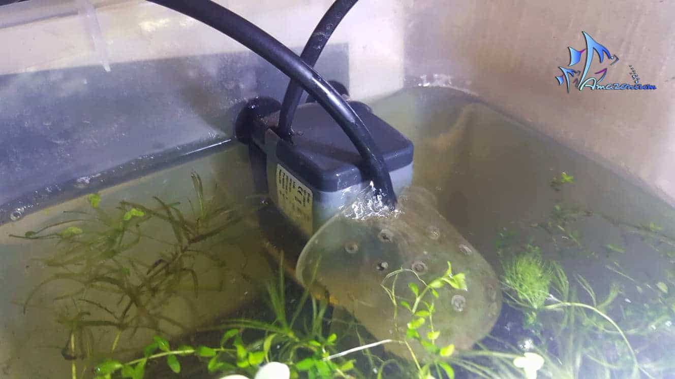Вода воняет рыбой. Фильтр Барбус 022 без флейты в аквариуме. Флейта для аквариумного фильтра Tetra. Течение воды в аквариуме. Насадка на аквариумный фильтр для аэрации.