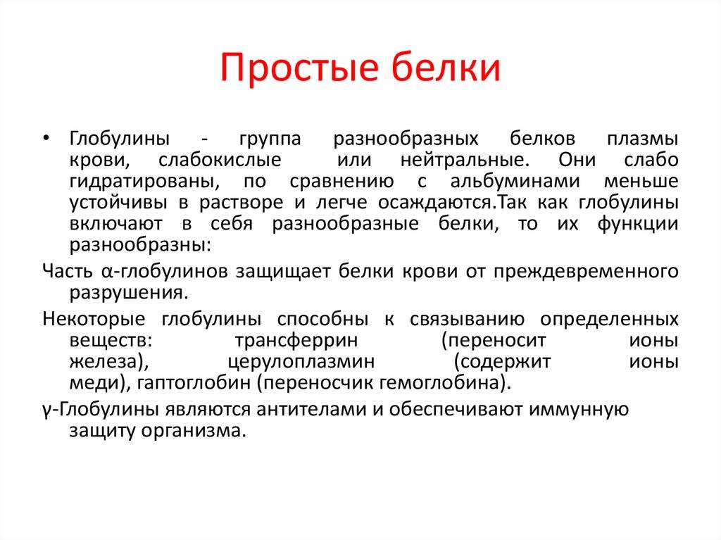 Белки