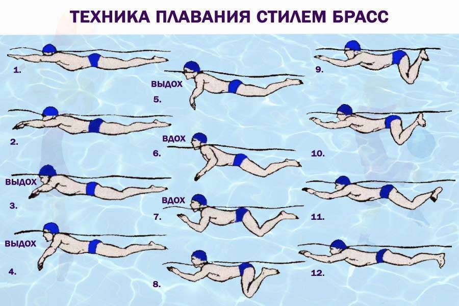 Плавание кролем — техника выполнения, польза, рекорды