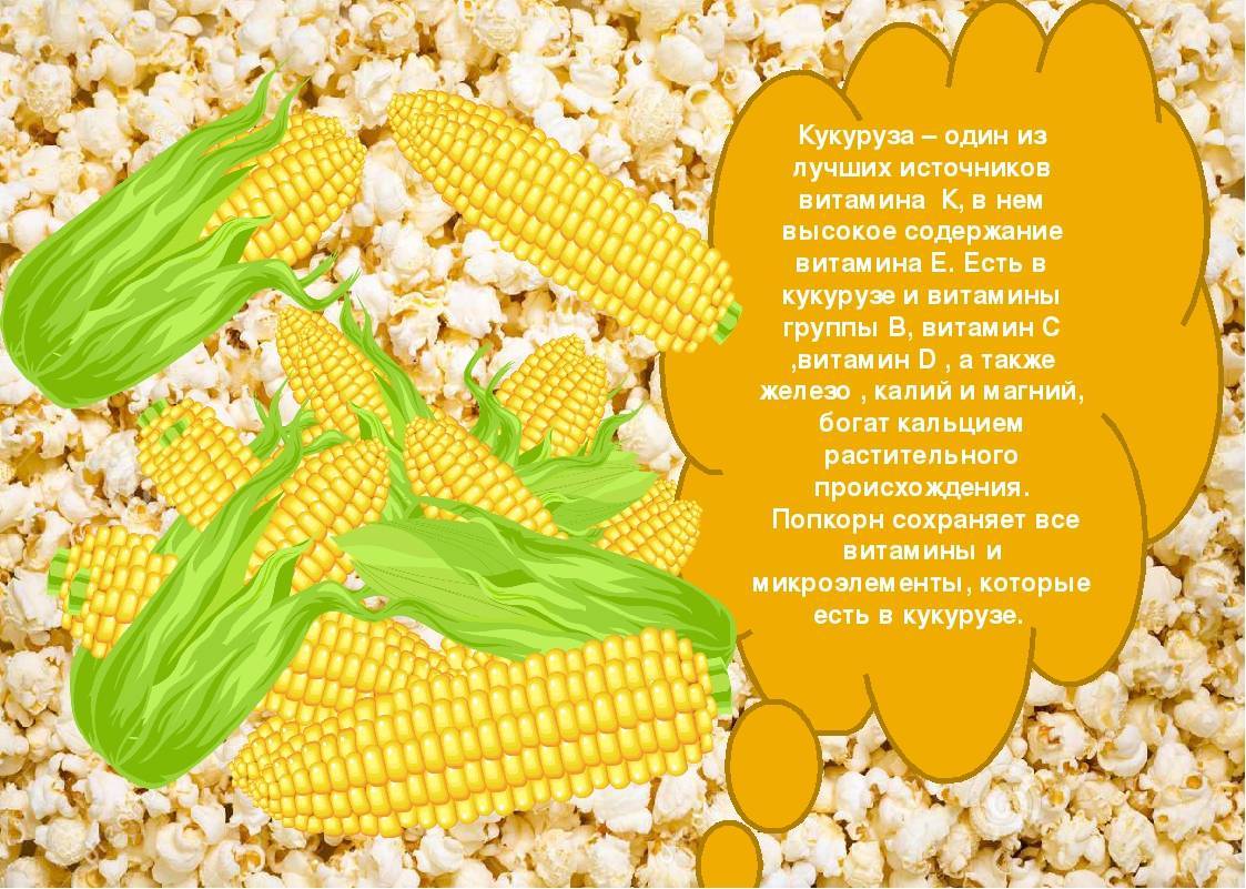 Является ли кукуруза здоровой пищей и сколько калорий в кукурузе?