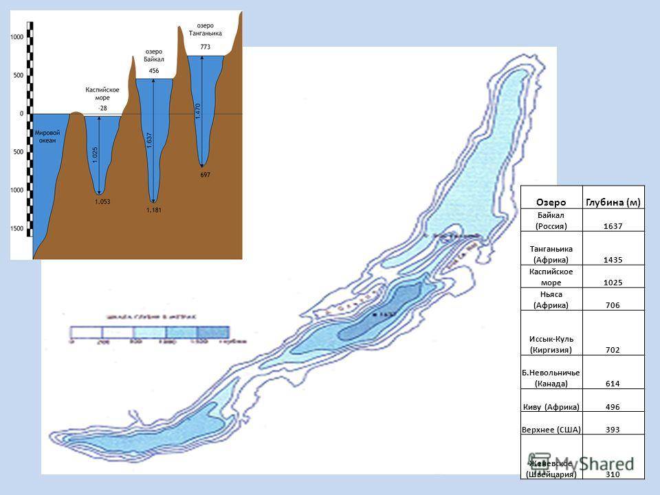 Озеро байкал – интересные факты: глубина, особые черты, происхождение и протяженность крупнейшего водоема