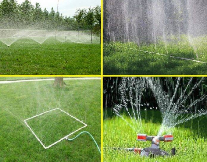 Можно ли поливать газон сразу после стрижки