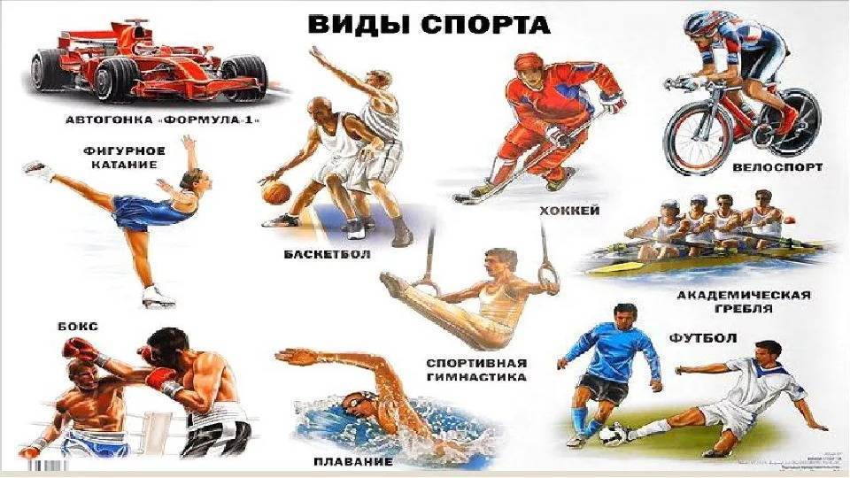 Самые полезные для здоровья виды спорта | ✔ukrepit-immunitet.ru