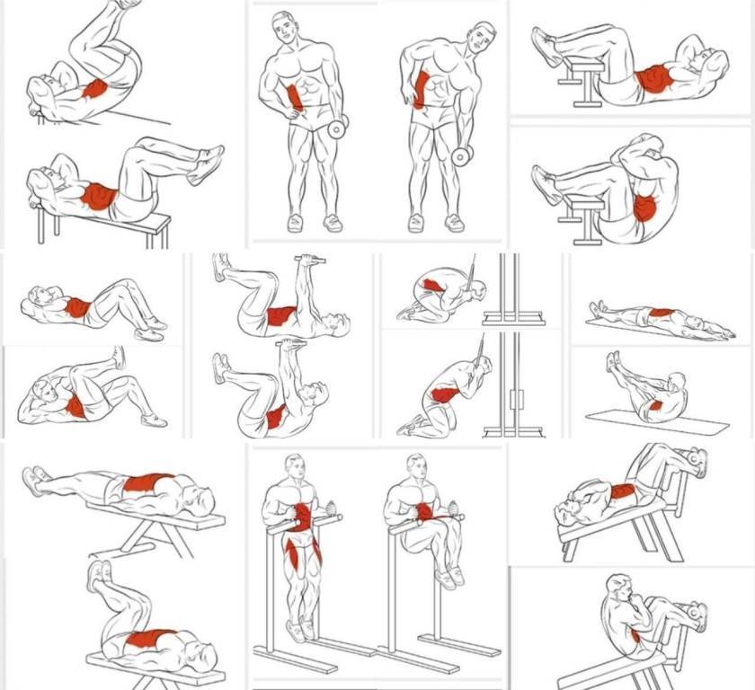 Упражнения для развития мышц спины с собственным весом