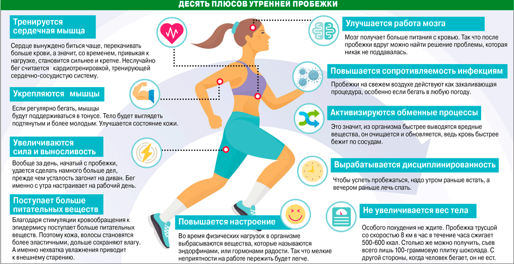 Фитнес-мифы: кардио, пульс и зона жиросжигания - fitlabs / ирина брехт