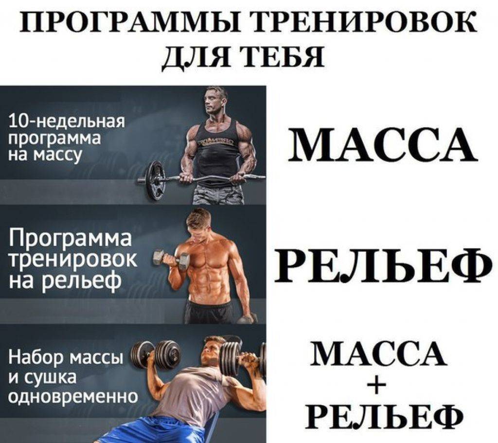 Сколько стоят занятия с тренером: персональные тренировки, индивидуальные занятия, опыт работы и ценовая политика - tony.ru