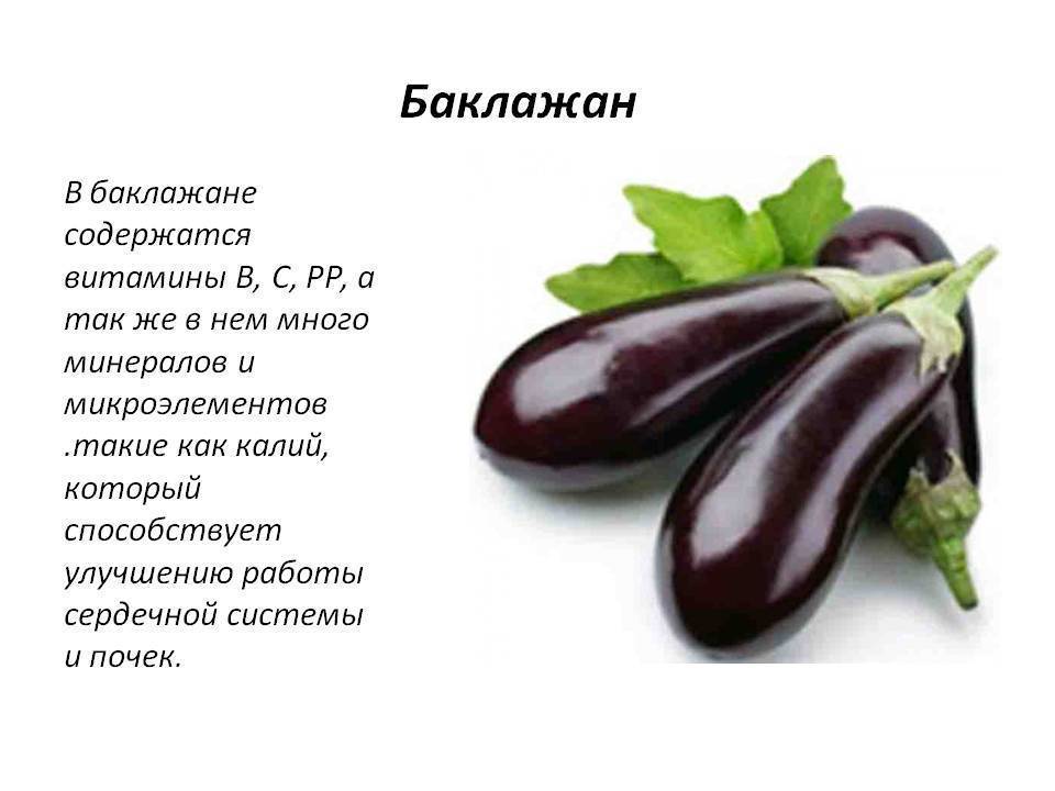 Баклажан: калорийность и полезные свойства. пищевая ценность продуктов :: syl.ru