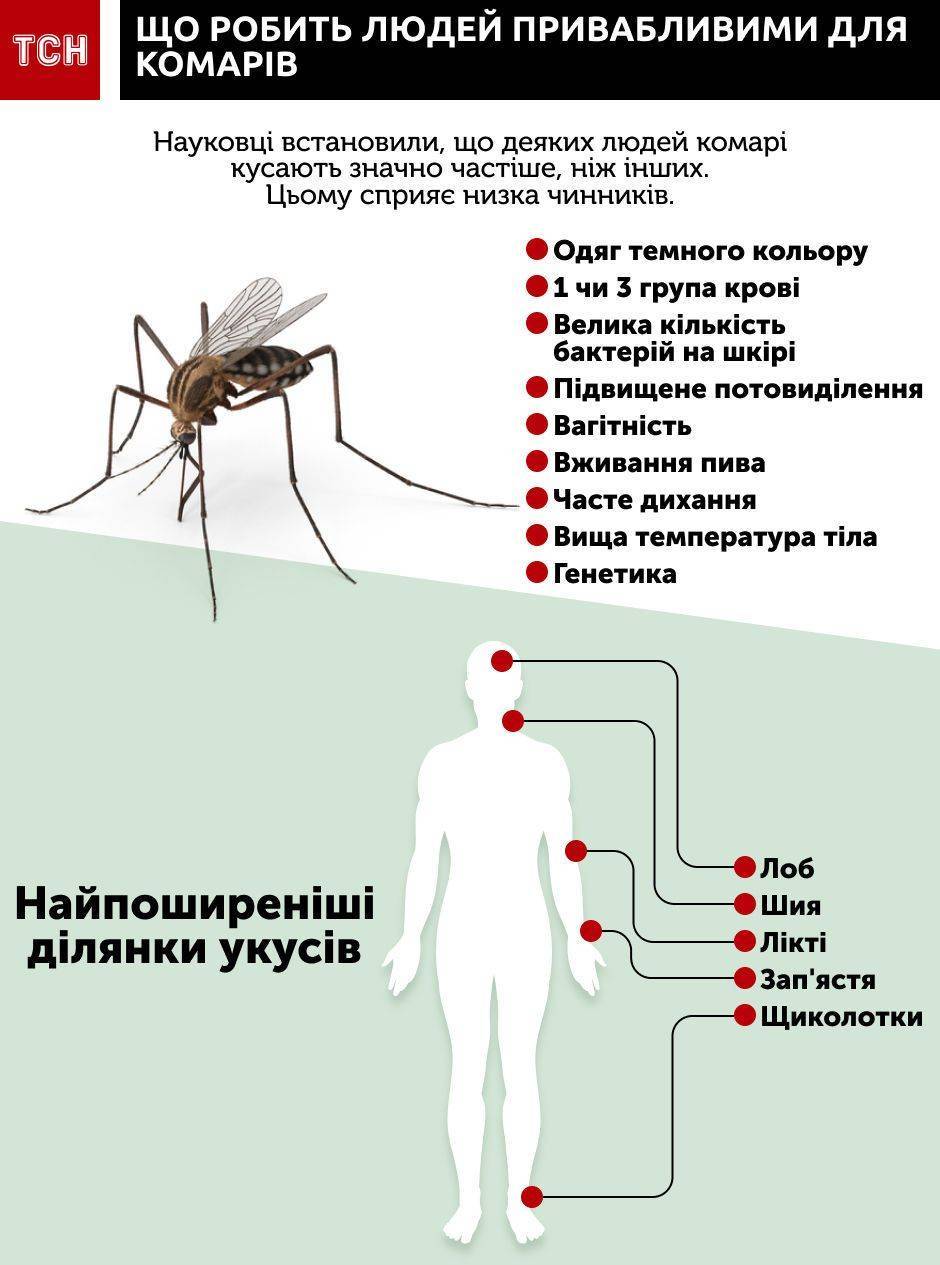 Какую группу крови любят комары?