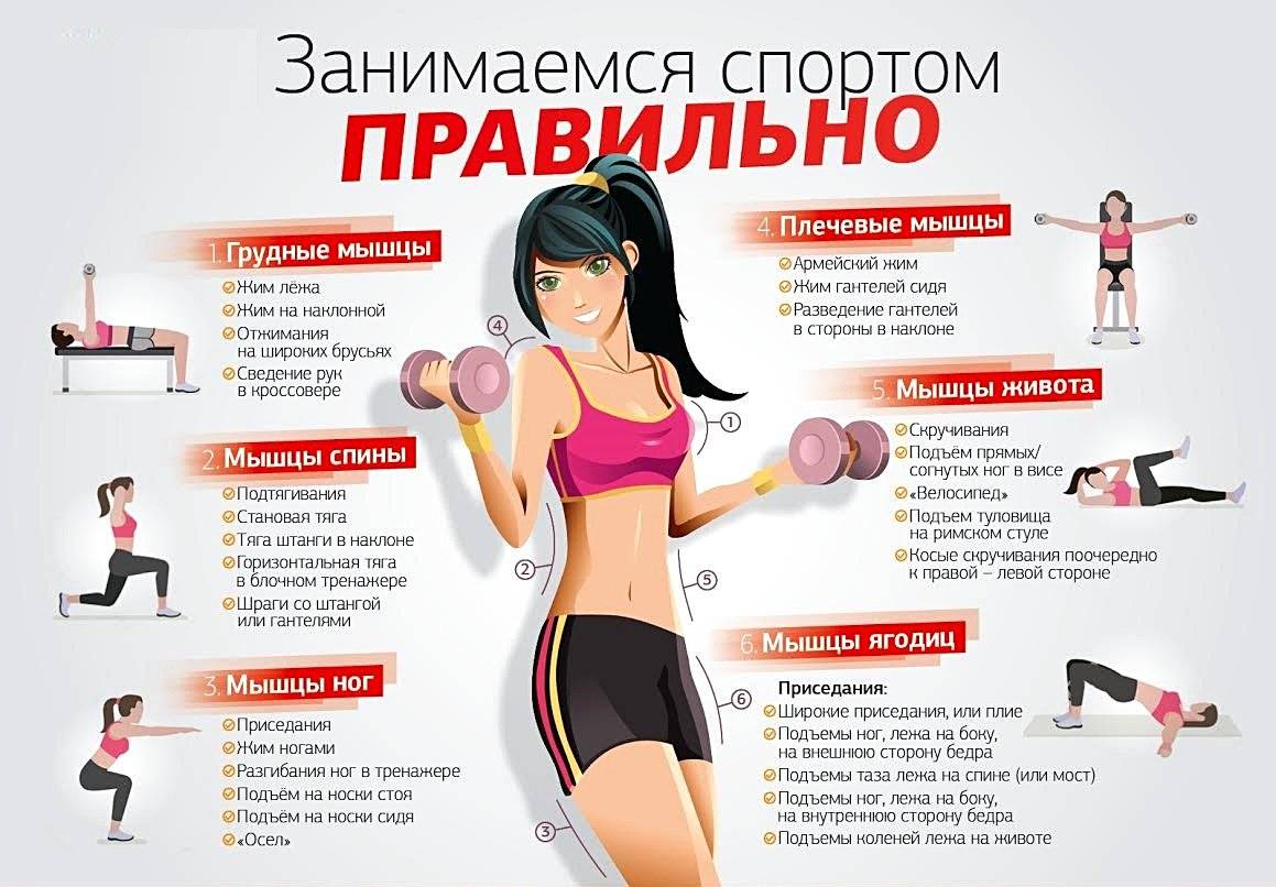 Фитнес-тренировка дома: комплекс на 7 дней лучших физических упражнений для начинающих девушек в домашних условиях