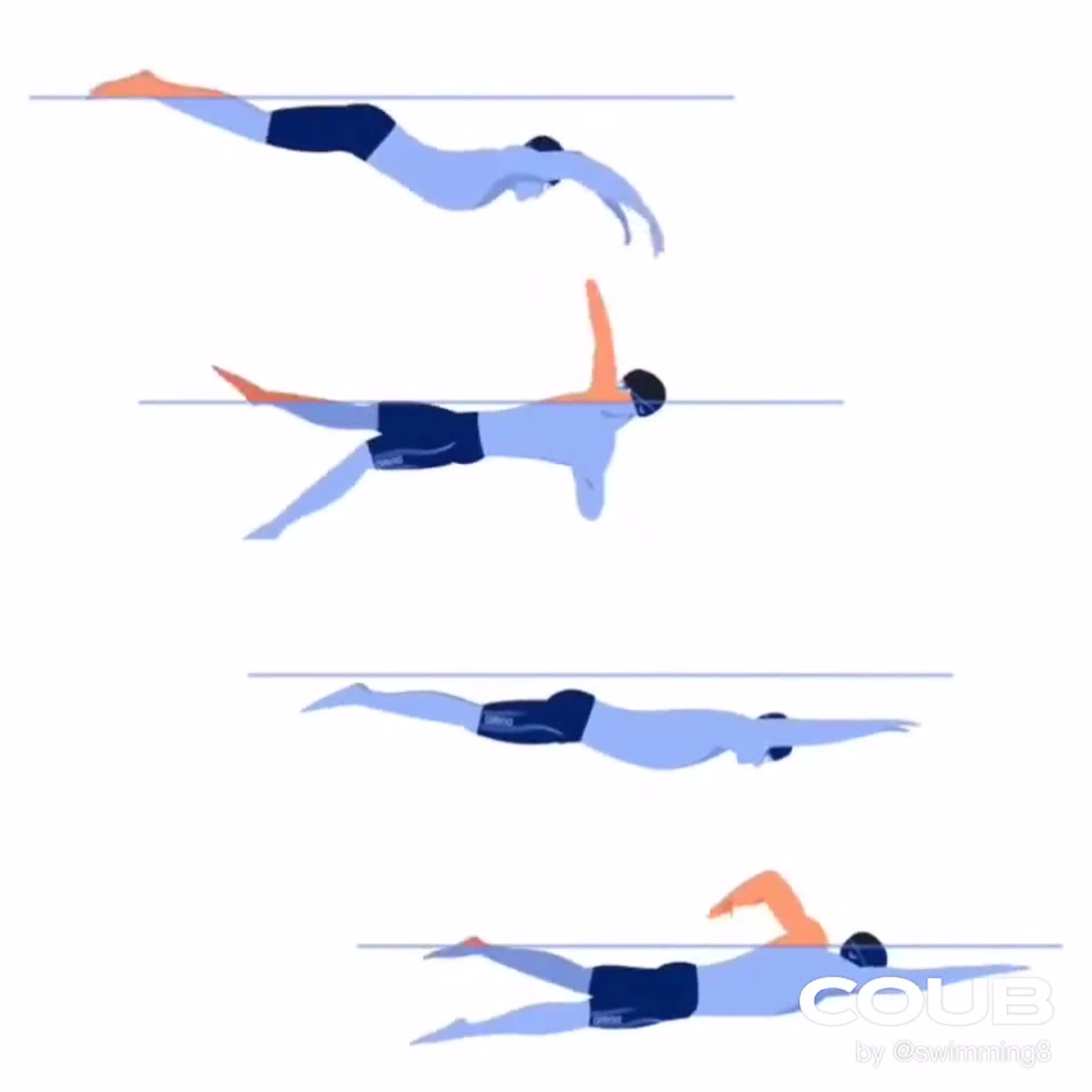 Техника плавания стилем баттерфляй: самый эффектный и сложный стиль