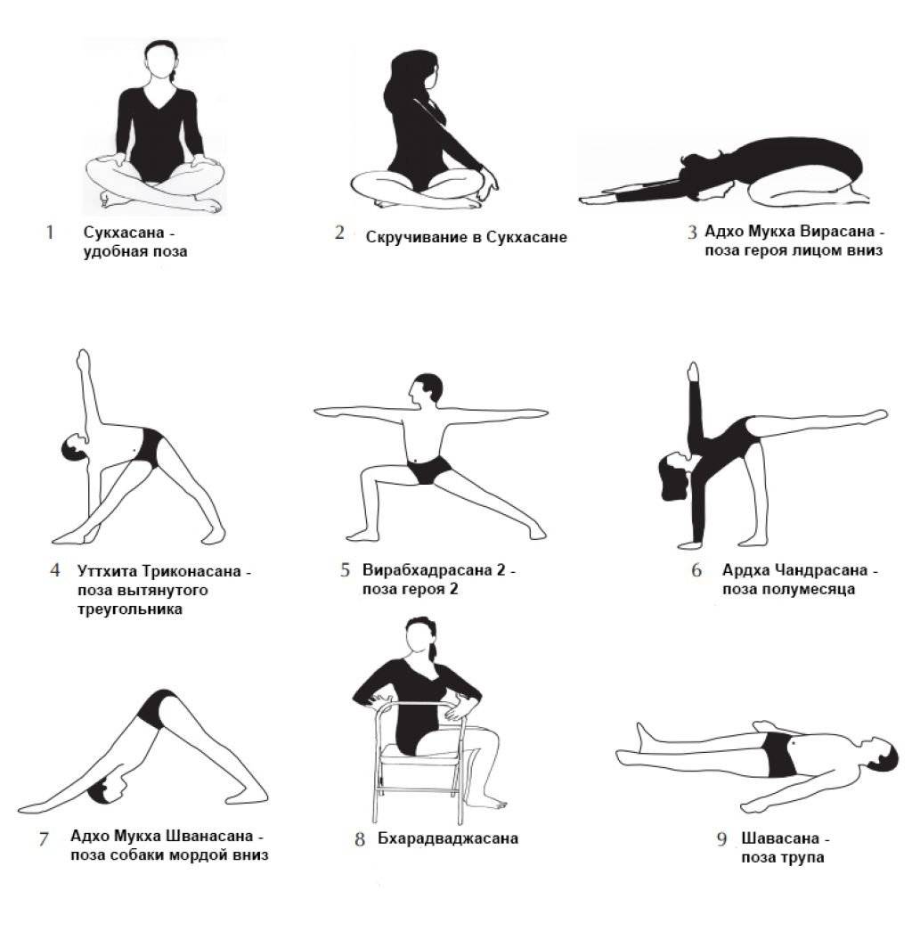 Йога практика айенгара. Основные асаны Айенгара для начинающих. Йога Айенгара комплекс для начинающих. Асаны йоги Айенгара с названиями. Йога Айенгара название асан для начинающих.