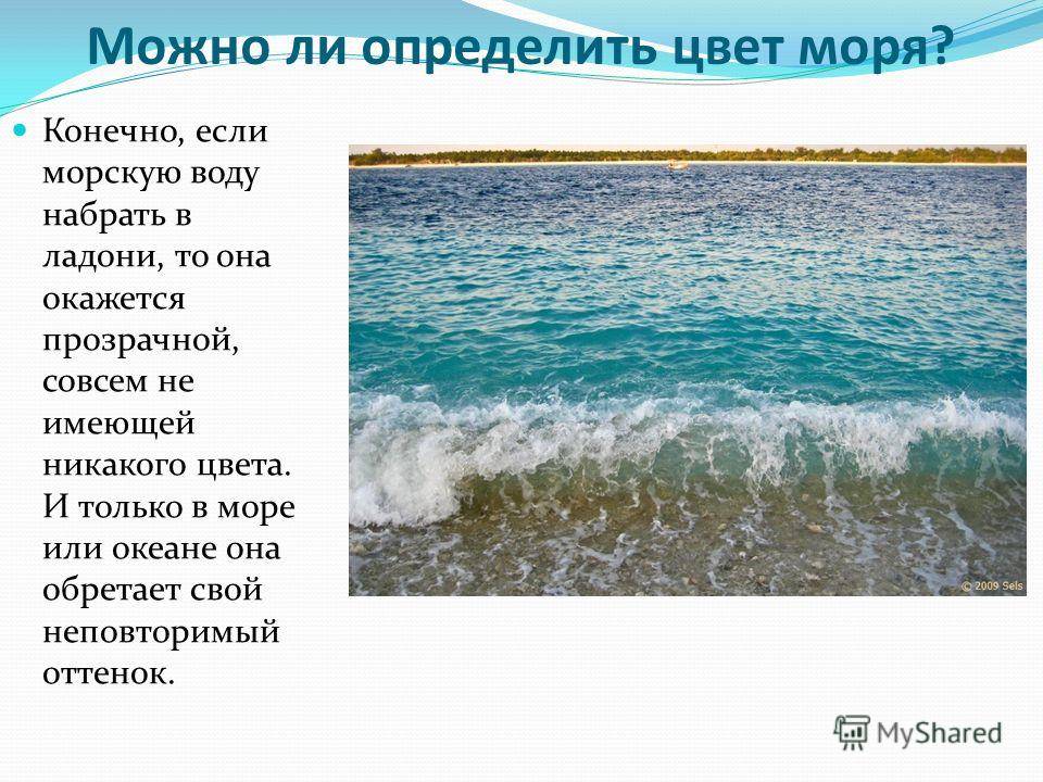 Цвета черного моря - 50 оттенков в разные времена года
