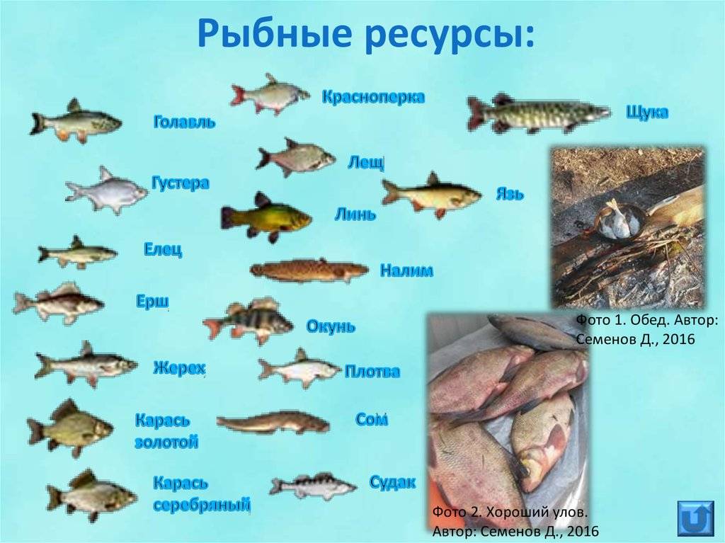 Рыбалка в оренбургской области | карта рыболовных мест