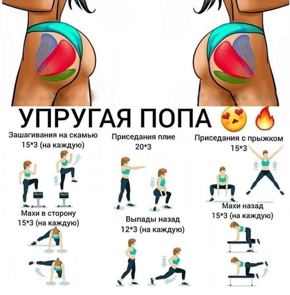 Как накачать попу за месяц в домашних условиях, упражнения | dlja-pohudenija.ru