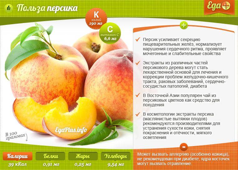 Персики: польза и вред для здоровья женщин и мужчин