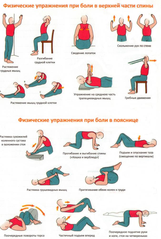 Разминка для спины, позвоночника и поясницы — 4 упражнения перед тренировкой или для облегчения боли