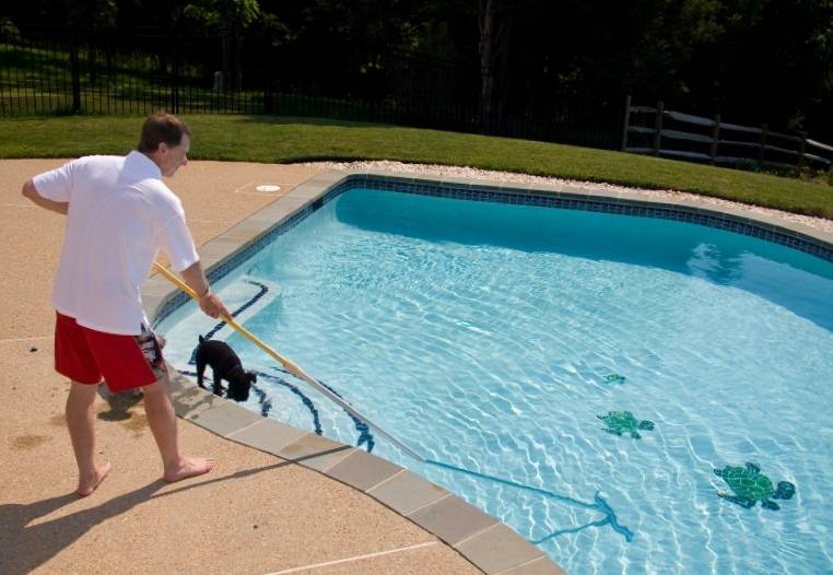 Советы и рекомендации, как чистить бассейн на даче