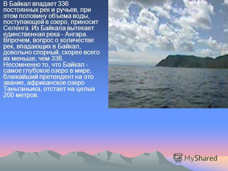 Сколько рек впадает в озеро байкал. Растения и животные реки Ангара. В Байкал впадает 336 рек. Озеро Байкал вода Ангара река. Ангара единственная река вытекающая из Байкала.