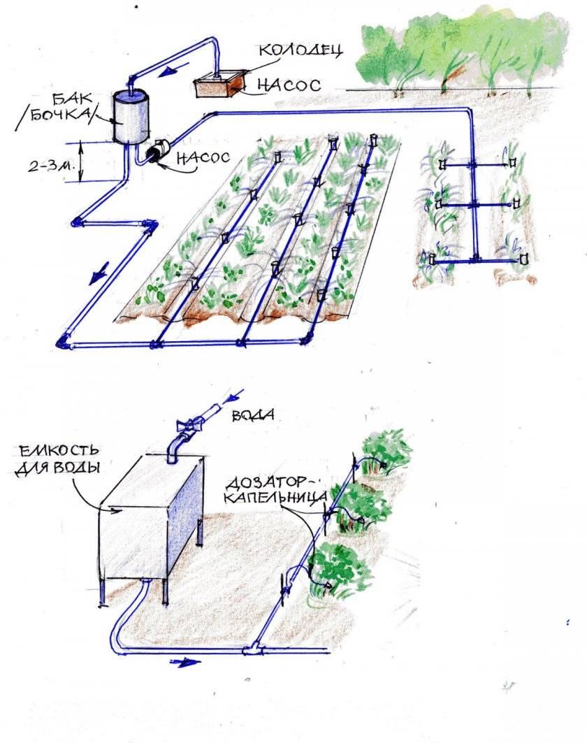 Как сделать капельный полив для теплицы и огорода без больших затрат