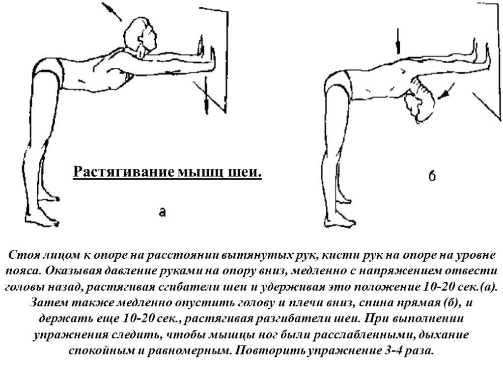 Упражнения для растяжки мышц спины, шеи и позвоночника