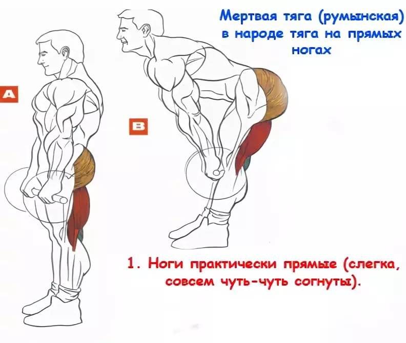 Румынская тяга, мертвая тяга и становая: отличия упражнений друг от друга