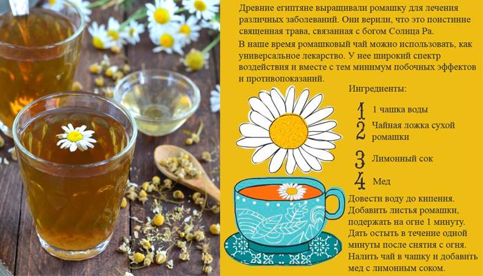 Ромашковый чай: польза и вред чая из ромашки, противопоказания, как приготовить