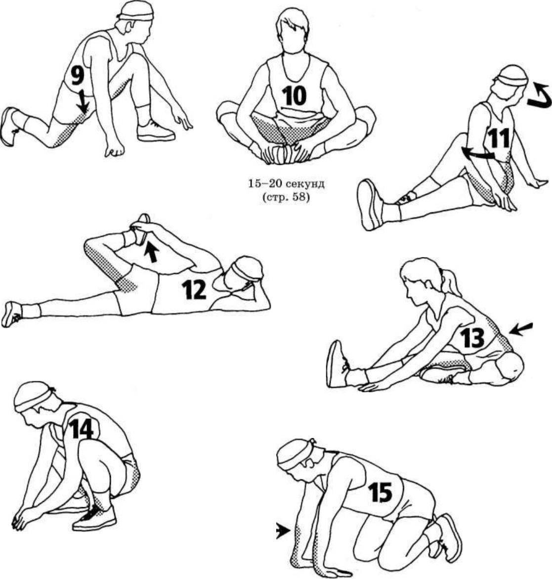 8 лучших упражнений на растяжку мышц для начинающих - allslim.ru