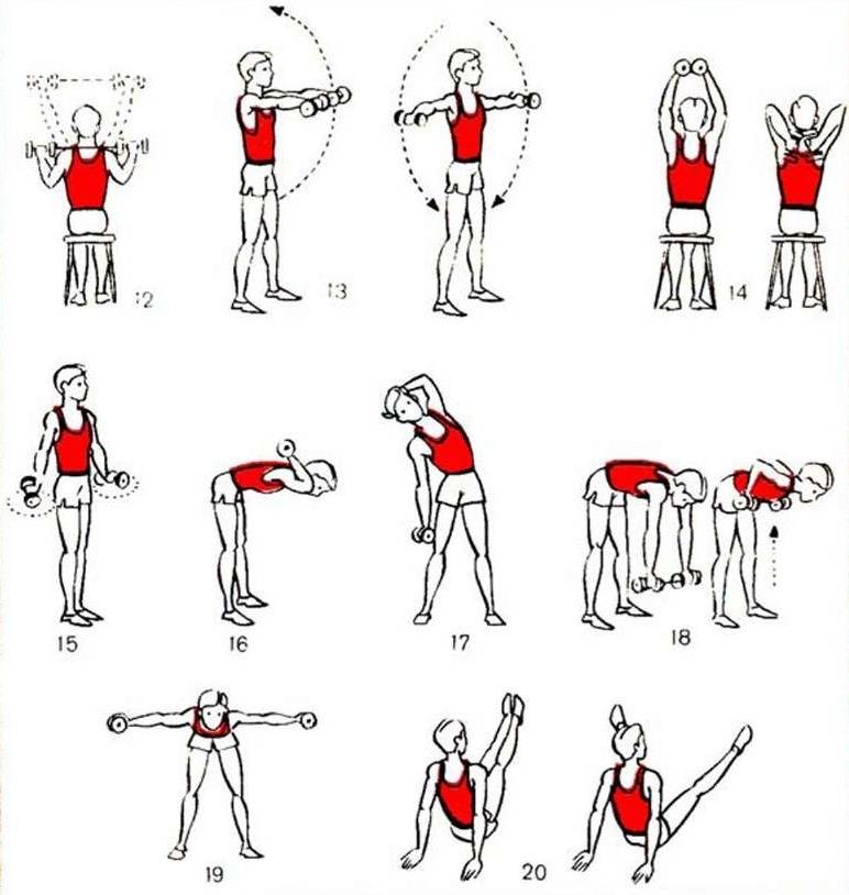 8 лучших упражнений для похудения рук и прорисовки мышц