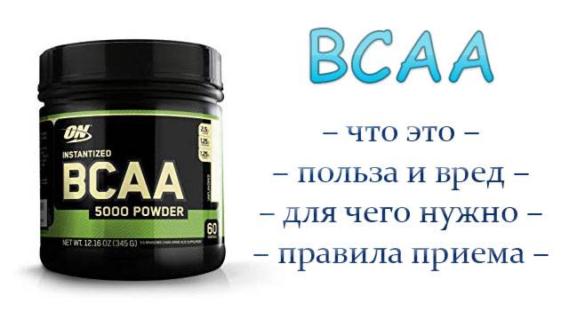 Что такое bcaa: как принимать аминокислоты bcaa и для чего они нужны
