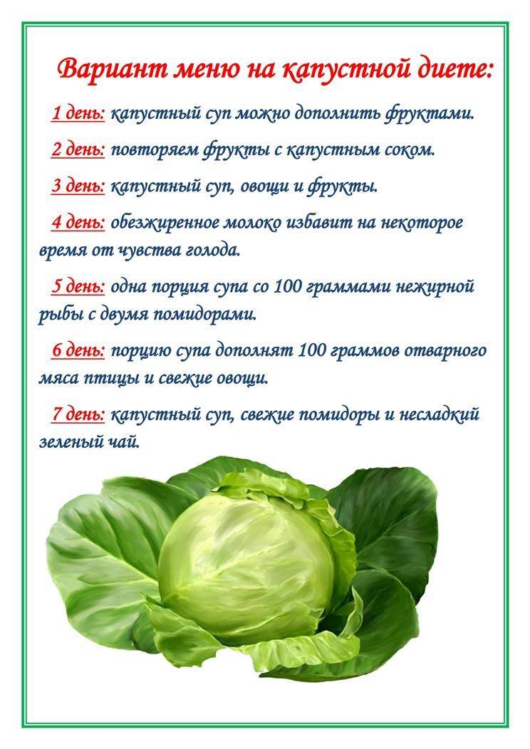 Капустная диета. отзывы похудевших на капусте - medside.ru