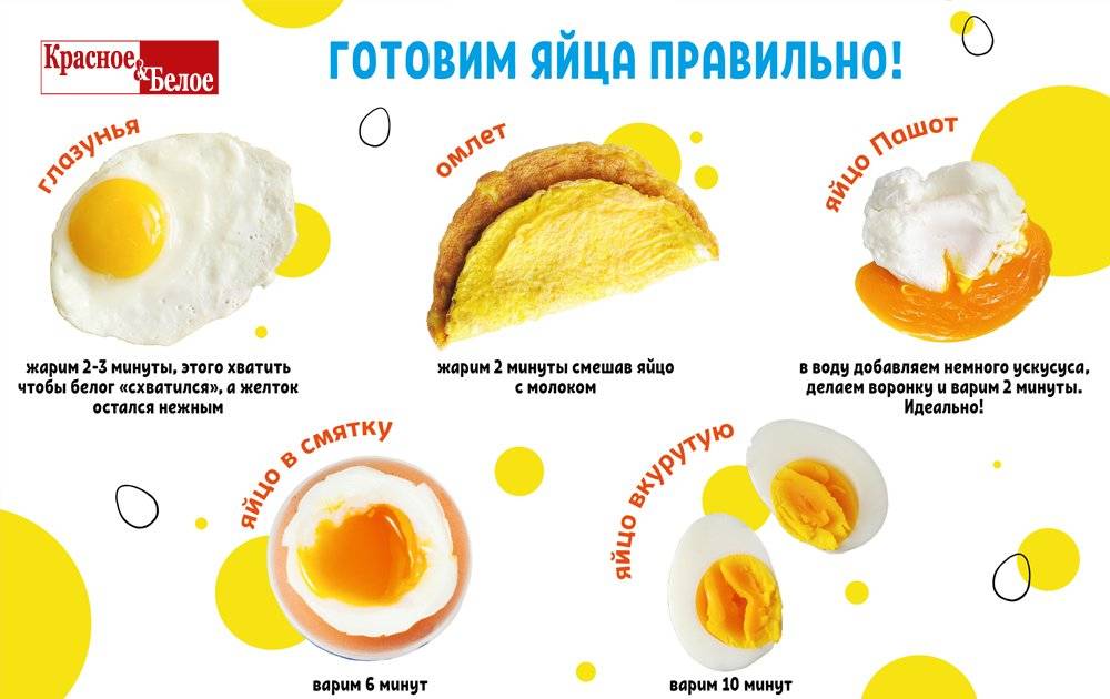 Сколько и как варить яйца — пошаговая инструкция