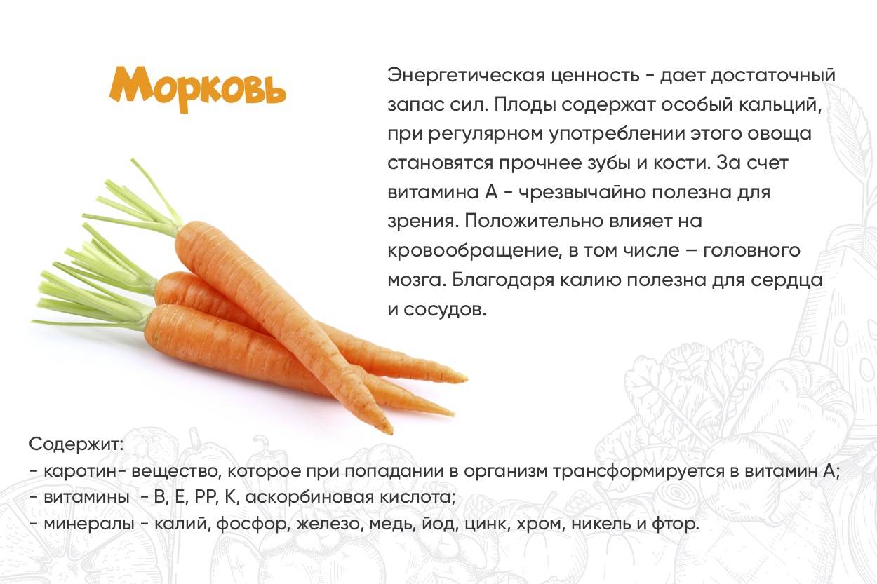 Сколько калорий в моркови и ее полезные свойства