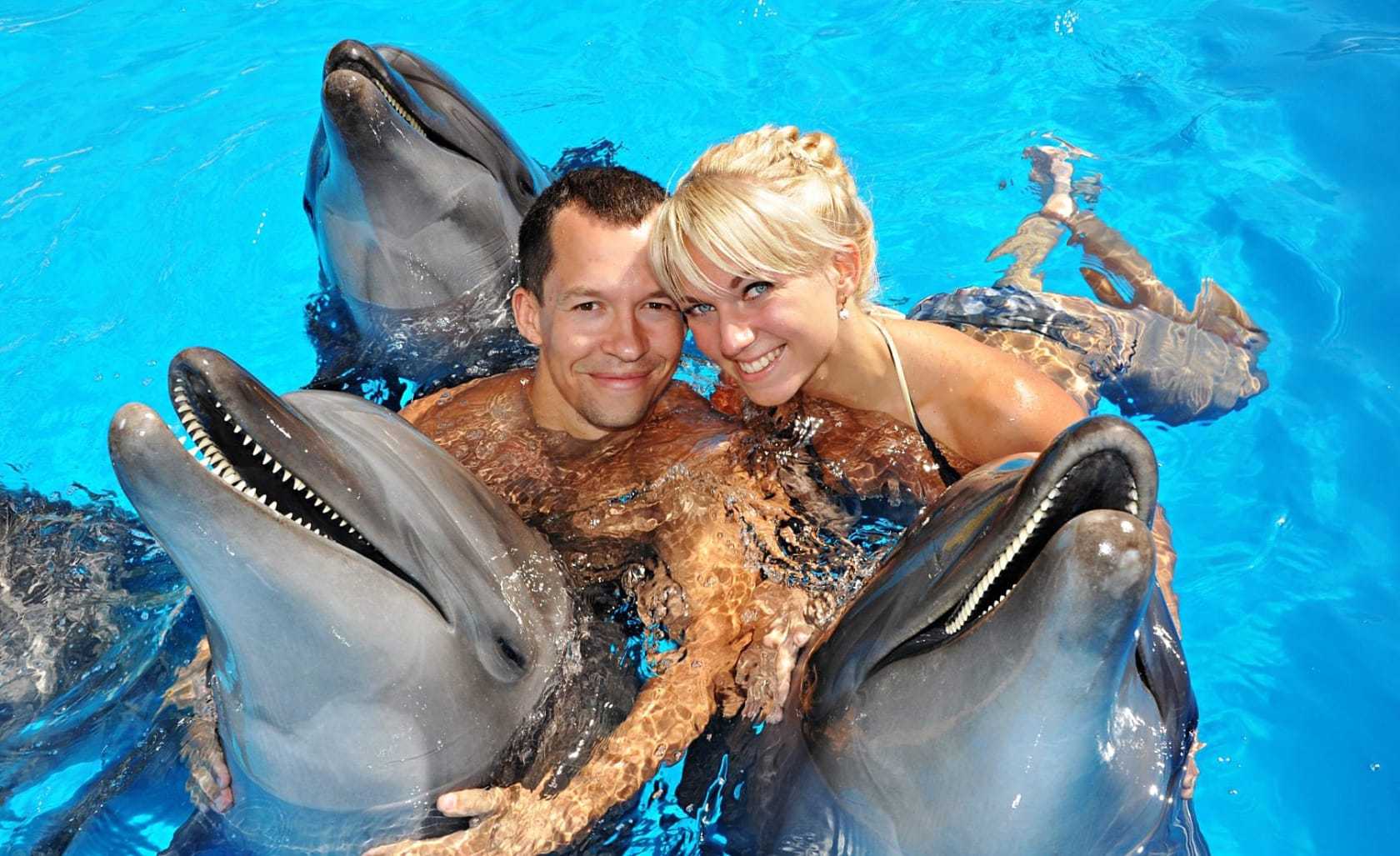 8 чудесных мест, где можно поплавать с дельфинами