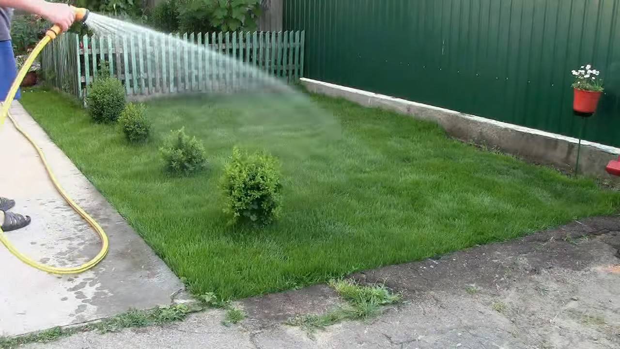 Как поливать газон?