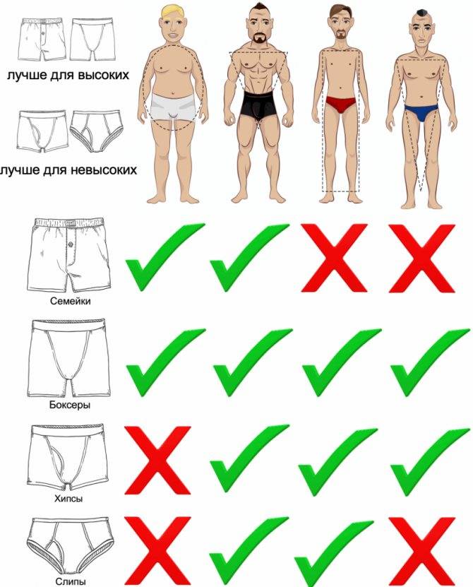 Как определить размер мужских трусов: подробное описание