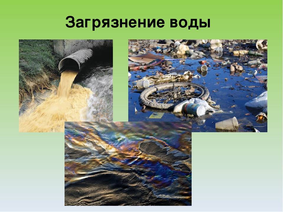 Загрязнение волги: основные экологические проблемы реки волга