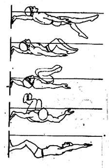 Техника плавания кролем на спине