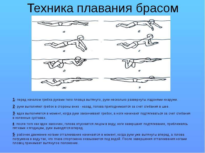 Плавание брассом: техника и способы :: syl.ru