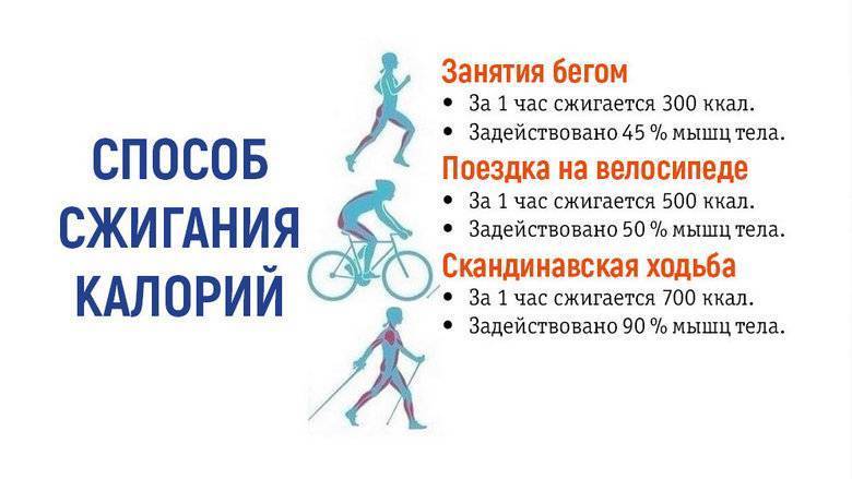 10000 шагов: это сколько километров и сжигается калорий при ходьбе | plastika-info.ru