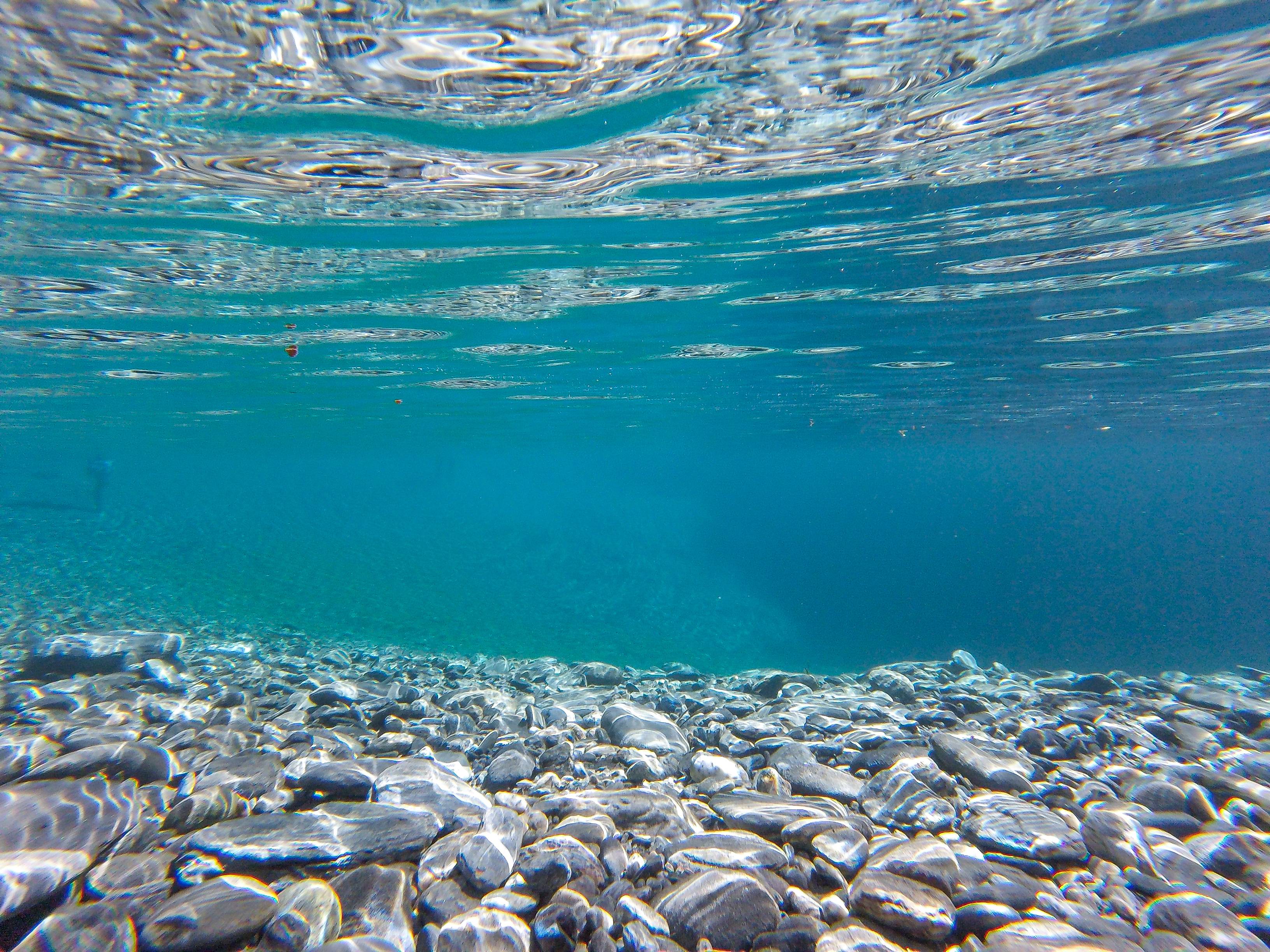 Тест почему море синее - что влияет на цвет воды