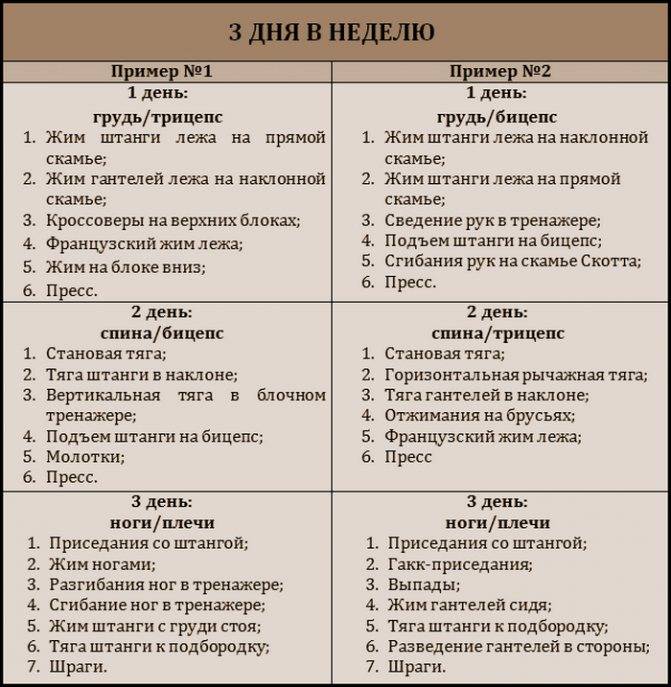 Методики тренировок в тренажерном зале для мужчин - tony.ru