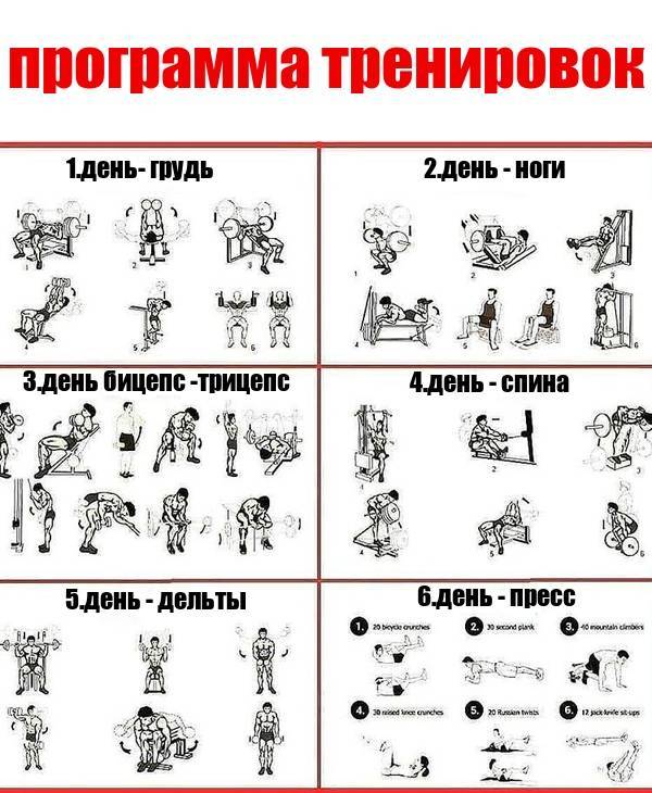Программа тренировки в спортзале для мужчин: лучшие упражнения